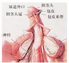 大连开发区现代男科医院