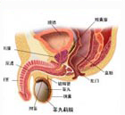 大连开发区现代男科医院